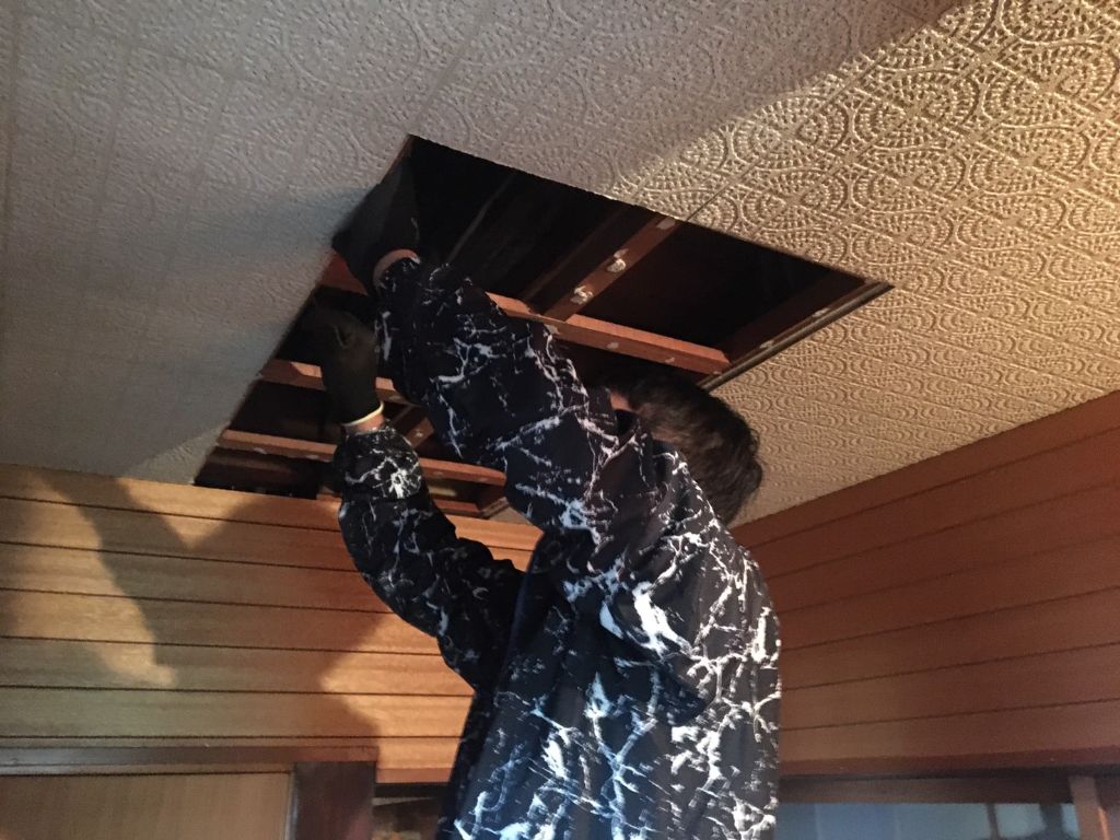 天井補修作業